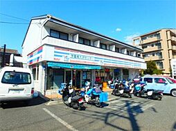 べループ・サンタナ 203