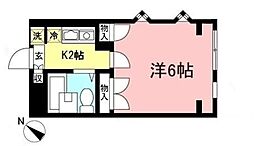 グレース・アイ 101