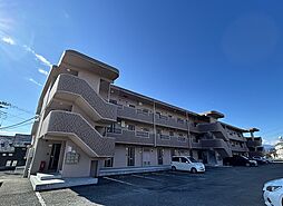 アルストロメリア