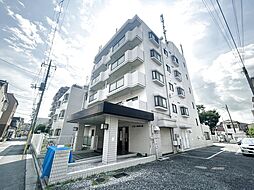 ドミール四ツ木 203