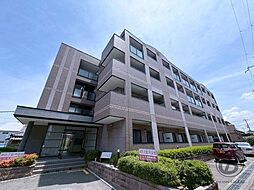 ブランドール板原