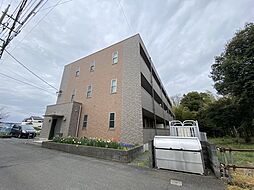 アンプルール　フェール　ドリーミ 105
