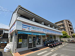 ベループサンタナ 0203