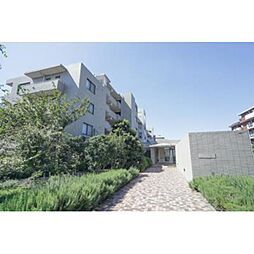 成城ストリームハイツ 207