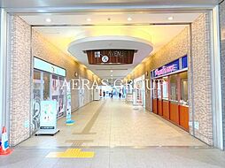 シュヴァルブラン白馬