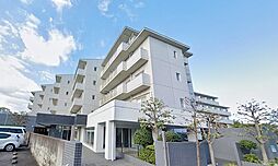 アンビックスつつじヶ丘B棟 2303