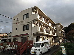 スターレンテル