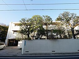 ＳＥＺＺＡＮ ＭＡＮＳＩＯＮ