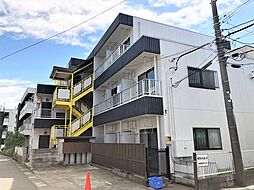 ホワイトコート 305