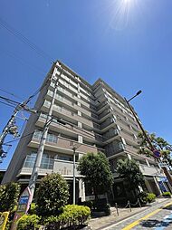 コプリー　キタハナダ 504