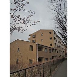 シルクフォルム