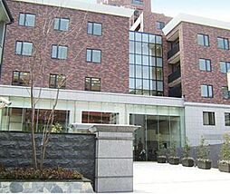 シティテラス目白　Ｃテラス 1603