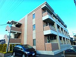 プラシード　Ｋ 203