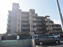 シャルマンドミール 204