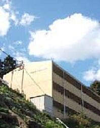 フォレストビュー西片江 207