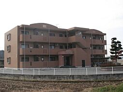 コンステレーション 302