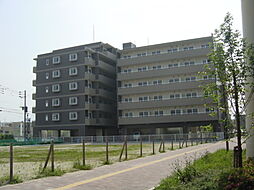 プレジール姪浜 301