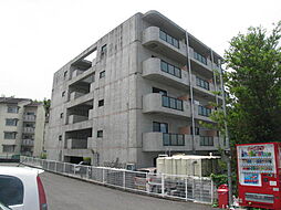 Ｚｉｎ　Ｊｉｎ 305