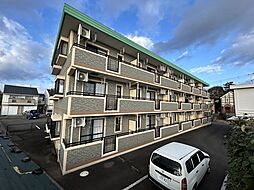 グリーングラス 306