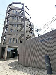 ドルチェコート 302