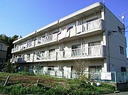 グリーンハイムコダイ 301