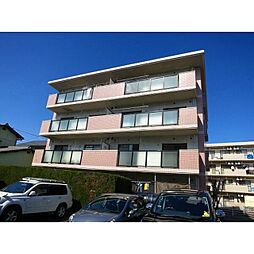 スプリングコートI 402