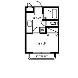 玉学サイドパレスV 203