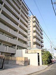 アンピール長尾 207