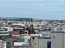 コージーコート