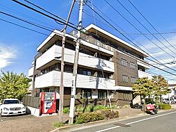 トゥインクルヴィータ 103