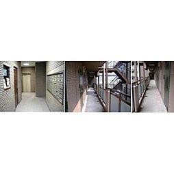 ピュアハイム本田 803