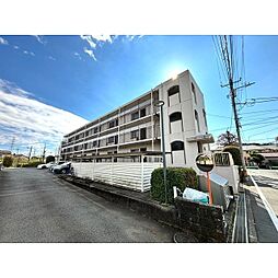 グリーンコーポ金田ユング