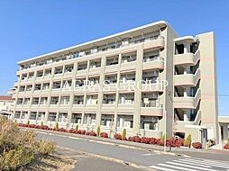 グランツ柏の葉