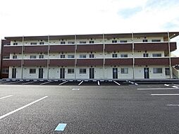 メゾン　シュシュ 307