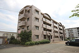 サンハイツ眞洲崎 302