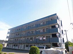 セントラルパークハイツ 407