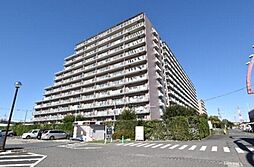 白井ロジュマン