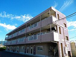 Ｅａｓｔ　Ｈｉｌｌ 303