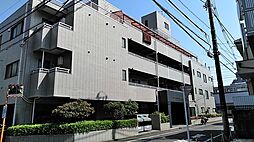 foresta verde