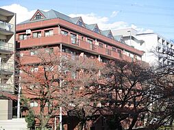 ベルファーム 208