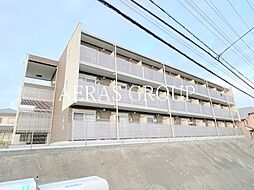 ミランダブルーアゼリア