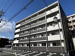 メイユール 505