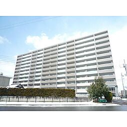 レーベン長岡寺島町Vertalier（ヴェルテリア） 10F