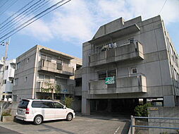 カサグレイズ N102