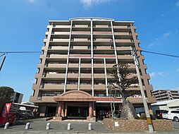 ウィンドウII 505