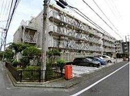 アカデミア清新