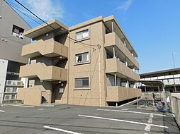 サン・パーシモン 202