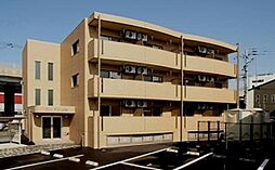 ウッドソレル 303