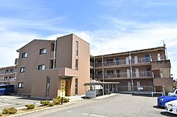 メルヴェイユ 305