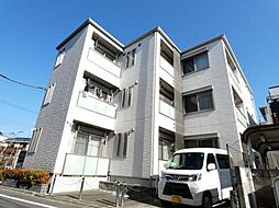 セントラルシャイン 206